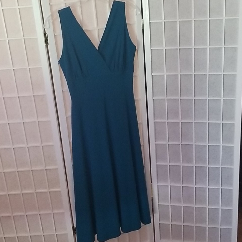 Simona Dress NWOT